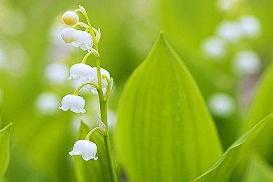 没《黑神话》 PS5 Pro首发50款强化游戏名单